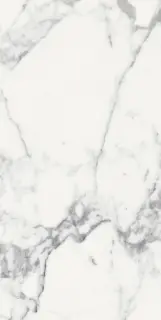 Origines De Rex Blanc Matte 6mm 60x120