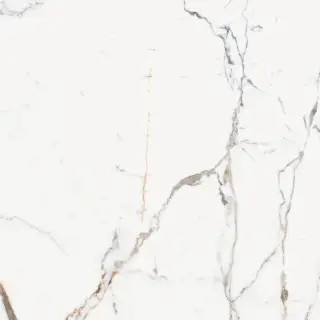 Origines De Rex Or Matte 6mm 120x120