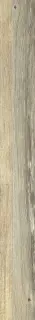Planches De Rex Miel 20x180
