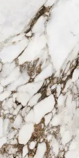 Bijoux Breche Capraia Glossy 60x120