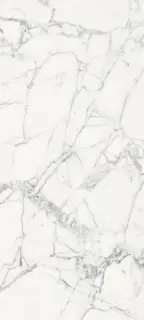 Origines De Rex Blanche Matte 80x180