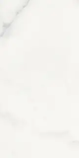 Origines De Rex Blanc Glossy 30x60