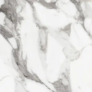 Origines De Rex Argent Matte 60x60