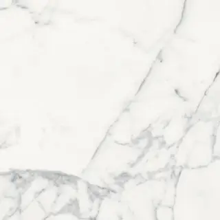 Origines De Rex Blanc Matte 60x60