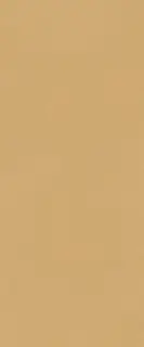True Color Caramel Matt 50x120