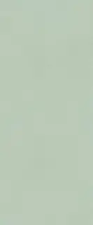 True Color Matcha Matt 50x120