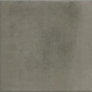 Nostalgy Anthracite 20x20