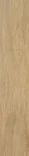 Tacora Camel Matt Rect 23x120