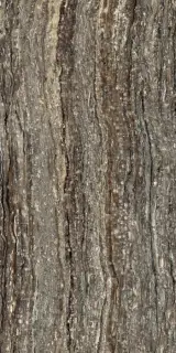 Эпос Грей 60x120
