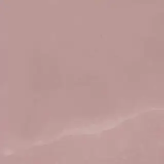 Сим. Роуз Вставка Лап