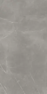 ФДМ Элегант Г. 60x120 Чер