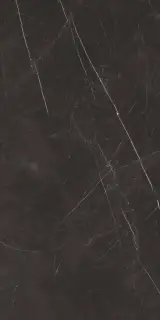 ФДМ Элегант Б. 60x120 Чер