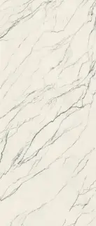 ФДМ Лилак 120x278 Лап