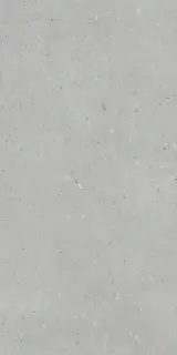 Флэйкцемент Серый Матовый R10a 60x120