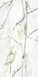 Calacatta Green (Book) Polished 60x120