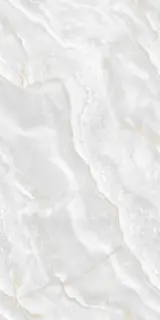 Flora Onyx Polished 60x120
