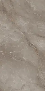 Orobico Brown Polished 60x120