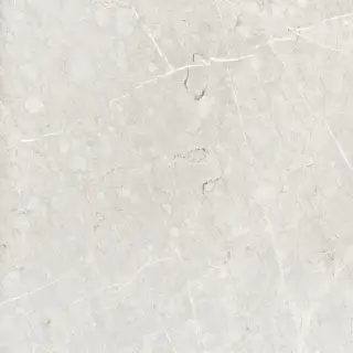 Skala White Matt. 60x60