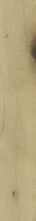Kora Autumn 20x120