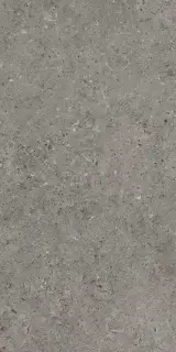 Beren Dark Grey Natural 60x120