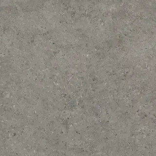 Beren Dark Grey Natural 60x60