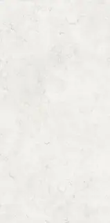 Norwegian White 60x120