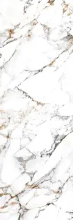 Arabescato Gold Glossy 80x240