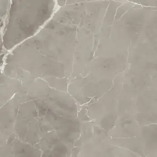 PU.ELEGANT GREIGE LUX 120X120RT