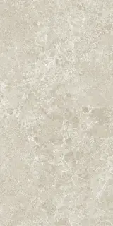 Керамогранит 3ДБ Харизма песочный матовый ретифицированный / P.E. 3DB Charisma sand mt 60X120 rect