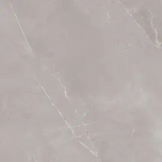 Керамическая плитка Пульпис серый / Плитка 42.0*42.0 Pulpis  grey P