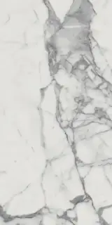 Italon Керамический гранит Charme Evo Floor Project Керамогранит Statuario 60x120 люкс