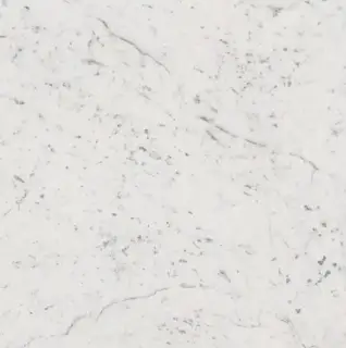 Italon Керамический гранит Charme Deluxe Floor Project Керамогранит Bianco Michelangelo 80x80 люкс