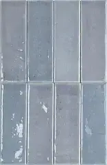 Viola