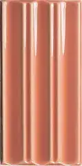 Belt Coral