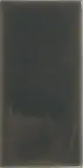 Ebony