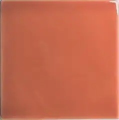 Square Coral