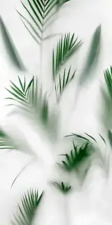 Cristoforo (3 Варианта Паттерна)