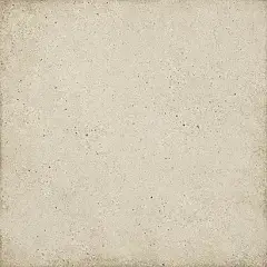 Biscuit