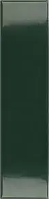 Laurel Green Glossy