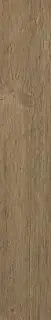 Brown Chestnut
