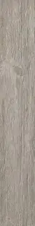 Silver Fir