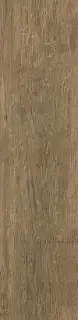 Brown Chestnut