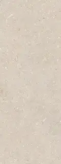 PORCELANOSA CORAL CALIZA 45х120 G-270
