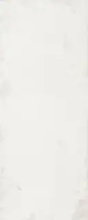 PORCELANOSA STEEL BONE 59.6х150 G-276