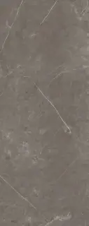 PORCELANOSA KARACHI ACERO 59.6х150 G-276