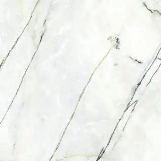 PORCELANOSA XLIGHT CALACATTA GREEN POLISHED 120х120x6 G-2531