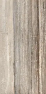 Seamount Brown Matte XX 60x120