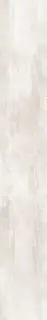 Eterno Ice |26.5x180