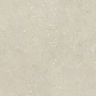 Shellstone Beige 120x120