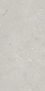 Shellstone Bianco 60x120